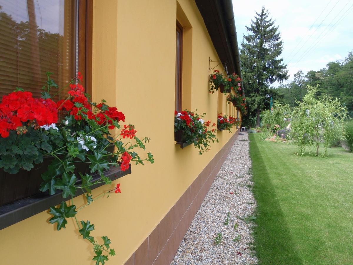 Penzion Jaro Hodonin Exterior photo